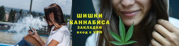 крисы Верхний Тагил