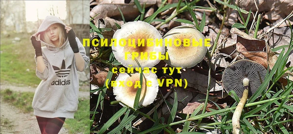 крисы Верхний Тагил